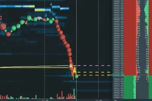 NQ Full Order Flow Course – Scott Pulcini Trader
