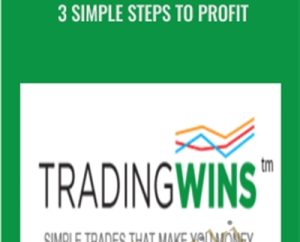 3 Simple Steps to Profit - Vince Vora
