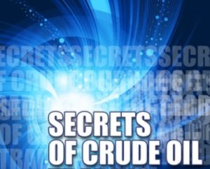 How Programs Trade Crude Oil - Crude Oil Secrets