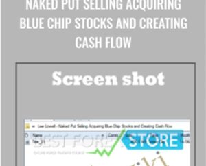 Naked Put Selling Acquiring Blue Chip Stocks and Creating Cash Flow - Lee Lowell