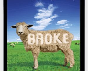 Broke-The New American Dream - Michael Covel