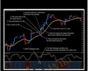 Rapid Results Method - Russ Horn