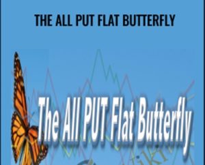 The All Put Flat Butterfly - Dan Sheridan