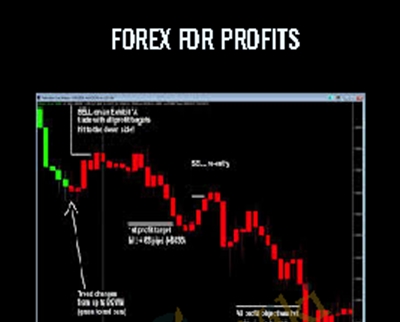 Learning How to Successfully Trade the E-mini and SandP 500 Markets ...