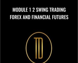 Module 1 2 Swing Trading Forex and Financial Futures - Trader Dante