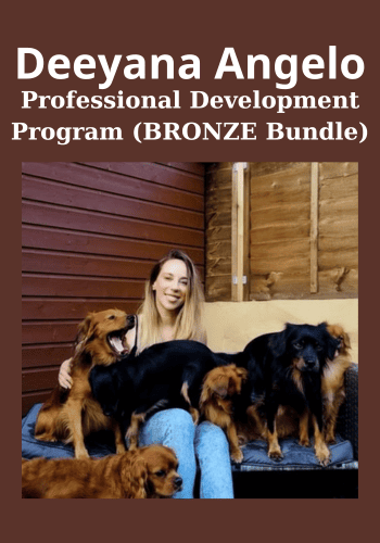 Professional Development Program (BRONZE Bundle) By Deeyana Angelo