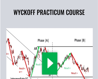 Wyckoff Practicum Course - Roman Bogomazov