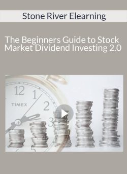 Stone River Elearning – The Beginners Guide to Stock Market Dividend Investing 2.0
