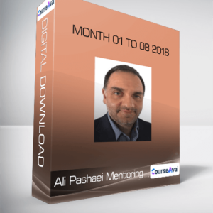 Ali Pashaei Mentoring - Month 01 to 08 2018