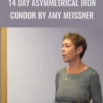 14 Day Asymmetrical Iron Condor by Amy Meissner - Forex library