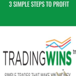 3 Simple Steps to Profit - Vince Vora