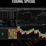 5 Indicator Package For eSignal Special E28093 Tradethemarkets - Forex library