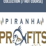 Adam Khoo E28093 Collection 7 Hot Course - Forex library