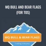 Cart Base Camp Trading E28093 MQ Bull and Bear Flags For TOS - Forex library