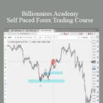 Cart Billionaires Academy – Self Paced Forex Trading Course 1 - Forex library