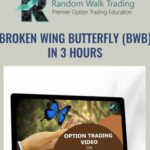 Cart Broken Wing Butterfly BWB in 3 Hours - Forex library