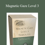 Bruno Martins. Fabricio Astelo – Magnetic Gaze Level 3 - Forex library