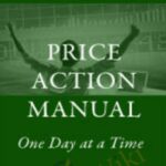 Bryce Gilmore The Price Action Manual2C 2nd Ed 2008 - Forex library