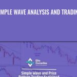 Cart Chris Svorcik - Forex library