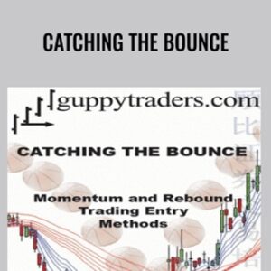 Catching the Bounce - Daryl Guppy