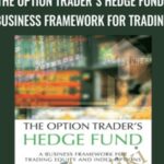 Dennis Chen Mark Sebastian The Option Traders Hedge Fun A Business Framework for Trading Equity and Index Options - Forex library