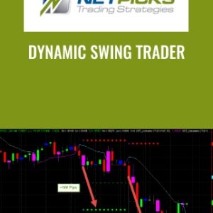 Dynamic Swing Trader - NETPICKS (Unlocked)