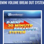 Cart Emini Volume Break Out System - Forex library