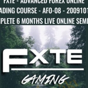 FXTE-Advanced Forex Online Trading Course-AFO-08-20091019-Complete 6 Months Live Online Seminar - Jimmy Young & Ross Beck