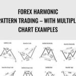 Cart Forex Harmonic Pattern Trading E28093 With Multiple Chart Examples - Forex library