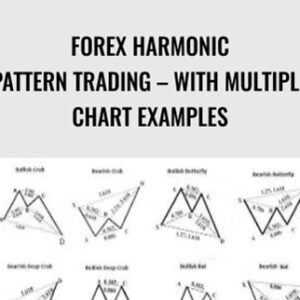 Forex Harmonic Pattern Trading-With Multiple Chart Examples - Luciano Kelly