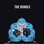 Forex Savages E28093 The Bundle - Forex library