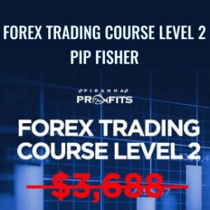 Forex Trading Course Level 2 - Pip Fisher