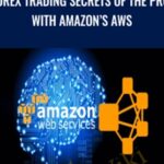 Forex Trading Secrets of the Pros With Amazons AWS - Forex library