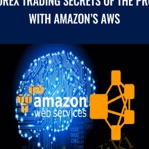 Forex Trading Secrets of the Pros With Amazons AWS - Hedge Fund Programmers AlgoDevelopment