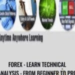 From Beginner To Pro - Forex library