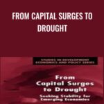 From Capital Surges to Drought - Forex library