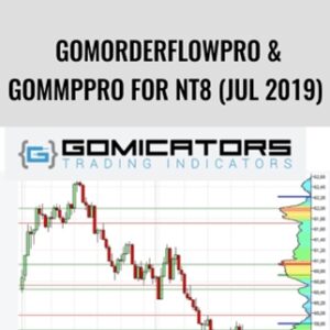 GomOrderFlowPro and GomMPPro for NT8 (Jul 2019) - Gomicators