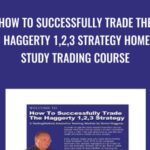 How To Successfully Trade The Haggerty 12C22C3 Strategy Home Study Trading Course - Forex library