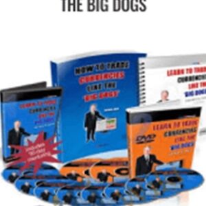 How to Trade Currencies Like the Big Dogs - Forexmentor