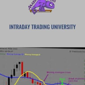 Intraday Trading University - Market Stalkers