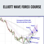 Jody Samuels Elliott Wave Forex Course - Forex library