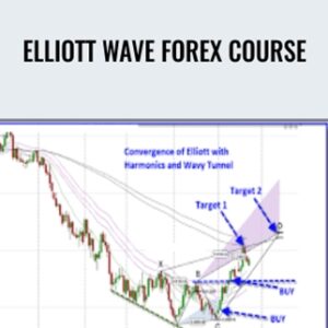 Elliott Wave Forex Course - Jody Samuels
