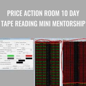 Price Action Room 10 Day Tape Reading Mini Mentorship - Joel Parker