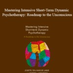 Josette ten Have de Labije Robert J. Neborsky Mastering Intensive Short Term Dynamic Psychotherapy Roadmap to the Unconscious - Forex library