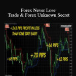 Cart Karl Dittmann – Forex Never Lose Trade Forex Unknown Secret - Forex library