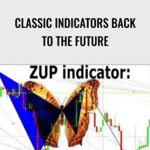 Classic Indicators Back to the Future - Linda Raschke