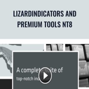 LizardIndicators and Premium Tools NT8 - LizardIndicators