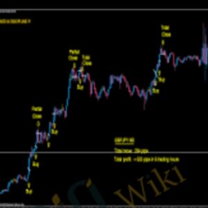 MAX Advanced Course - Maxtradingsystem