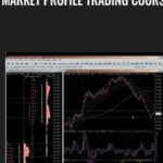 Cart Market Profile Trading Course E28093 Frank Buttera E28093 Balance Trader - Forex library