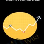 Cart Maximizing Your Success Trading Puts and Calls E28093 Sarah E28093 Shecantrade - Forex library
